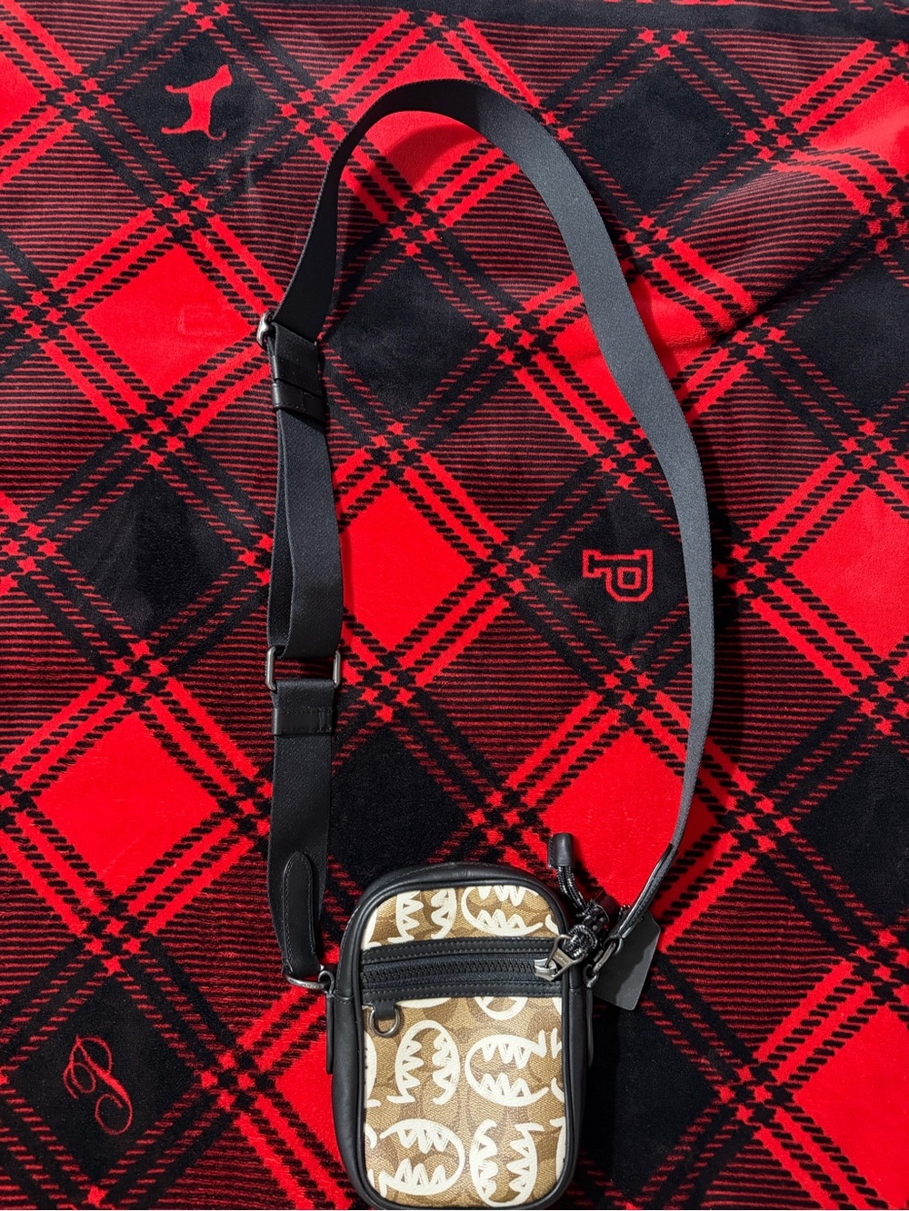 Coach x Guang Yu Mini Crossbody Bag | Signature Canvas Graphic Print - Picture 3 of 8